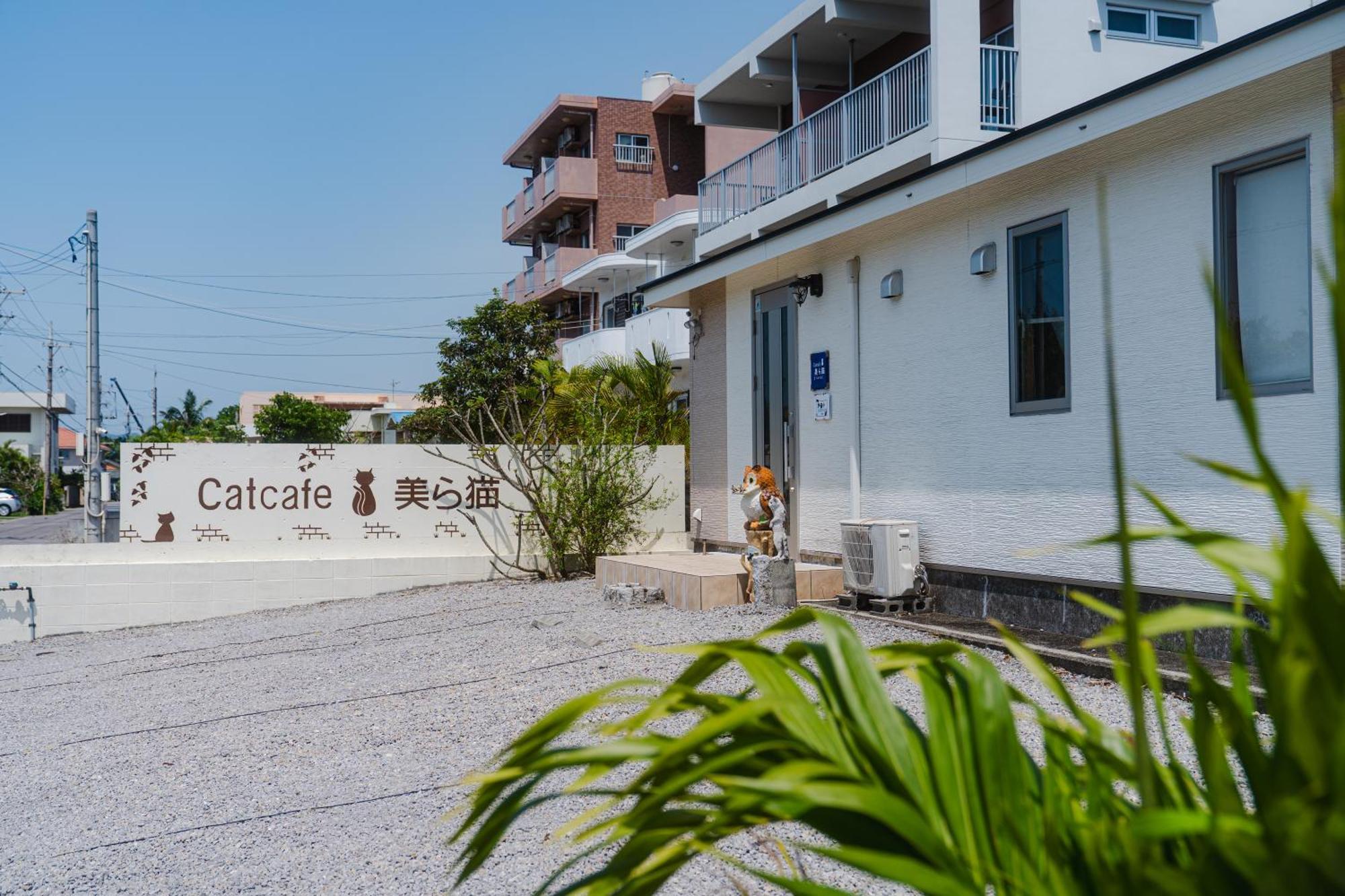 "オーシャンビュー ヴィラ南十字星 " Two-Bedroom Villa Ishigaki  Eksteriør billede