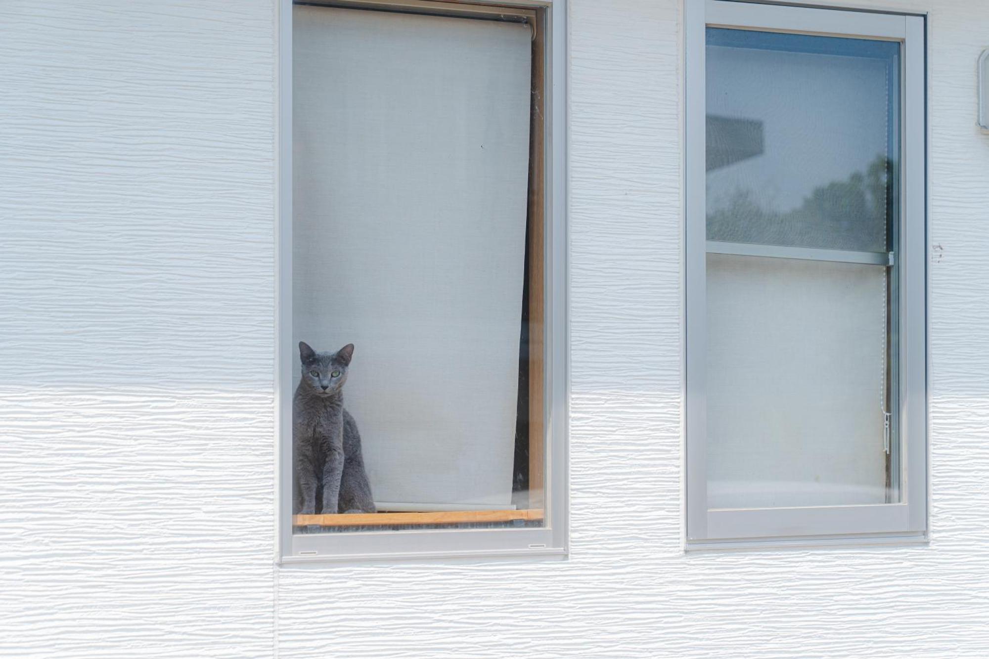"オーシャンビュー ヴィラ南十字星 " Two-Bedroom Villa Ishigaki  Eksteriør billede
